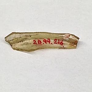 Fragment by Unknown Artist