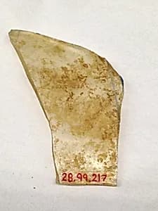 Fragment by Unknown Artist
