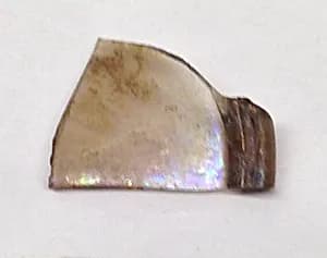 Fragment by Unknown Artist