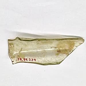 Fragment by Unknown Artist