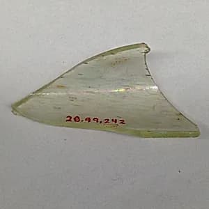 Fragment by Unknown Artist