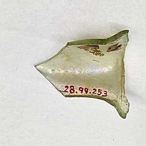 Fragment by Unknown Artist