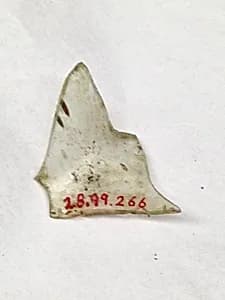 Fragment by Unknown Artist