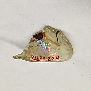 Fragment by Unknown Artist
