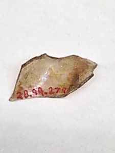 Fragment by Unknown Artist
