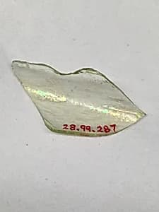Fragment by Unknown Artist