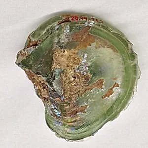 Fragment by Unknown Artist