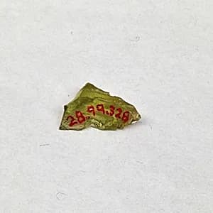 Fragment by Unknown Artist