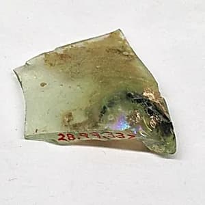 Fragment by Unknown Artist