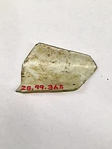 Fragment by Unknown Artist
