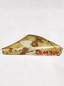 Fragment by Unknown Artist