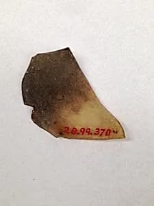 Fragment by Unknown Artist