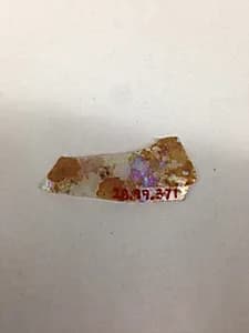Fragment by Unknown Artist
