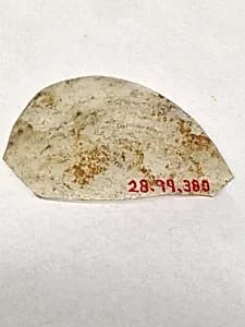 Fragment by Unknown Artist