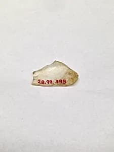 Fragment by Unknown Artist