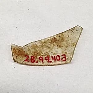Fragment by Unknown Artist