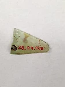 Fragment by Unknown Artist