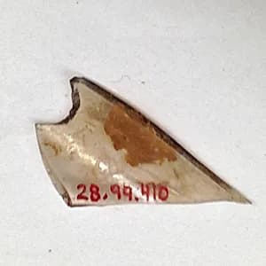 Fragment by Unknown Artist