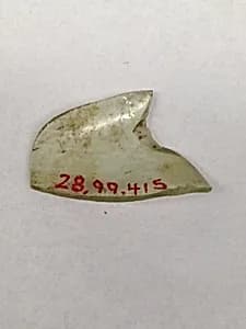 Fragment by Unknown Artist