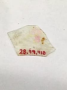 Fragment by Unknown Artist
