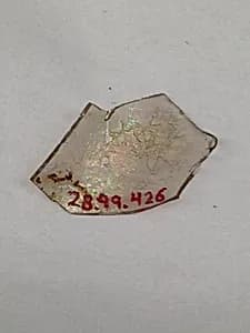 Fragment by Unknown Artist