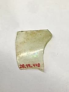 Fragment by Unknown Artist