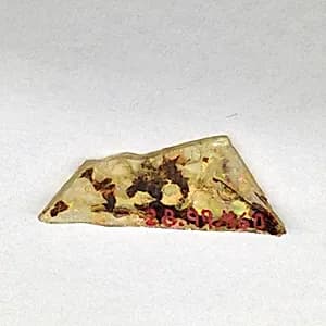 Fragment by Unknown Artist