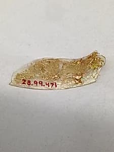 Fragment by Unknown Artist