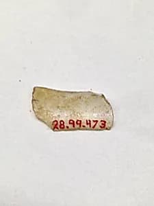 Fragment by Unknown Artist