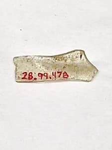 Fragment by Unknown Artist