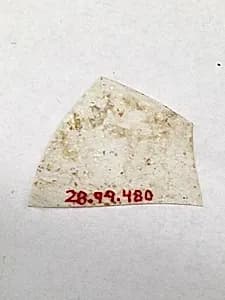 Fragment by Unknown Artist