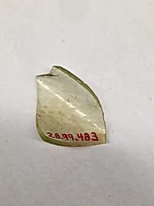 Fragment by Unknown Artist