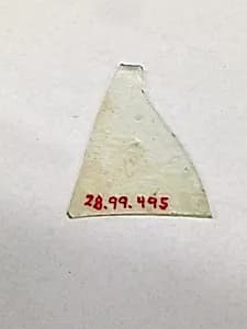 Fragment by Unknown Artist