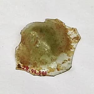 Fragment by Unknown Artist