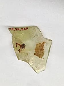 Fragment by Unknown Artist