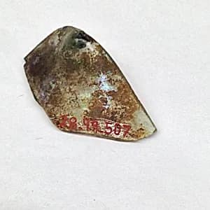 Fragment by Unknown Artist