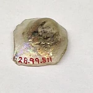 Fragment by Unknown Artist