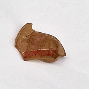 Fragment by Unknown Artist