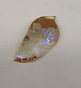 Fragment by Unknown Artist