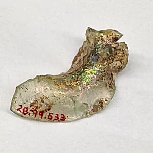 Fragment by Unknown Artist