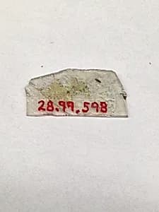 Fragment by Unknown Artist