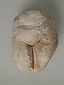 Fragment of a Female Figure by Unknown Artist