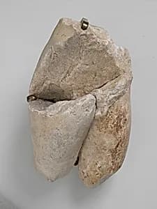 Fragment of a Male Torso by Unknown Artist