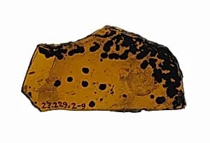 Glass Fragment by Unknown Artist
