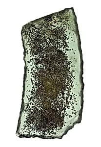 Glass Fragment by Unknown Artist