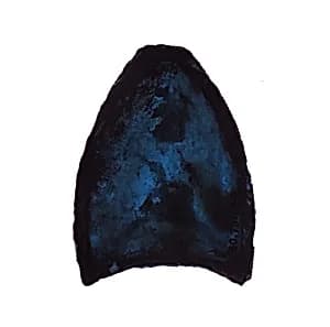 Glass Fragment by Unknown Artist