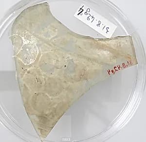 Glass Fragment by Unknown Artist