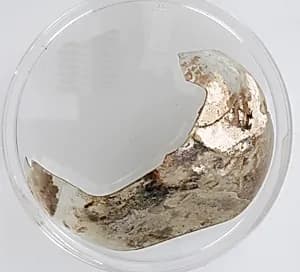 Glass Fragment by Unknown Artist