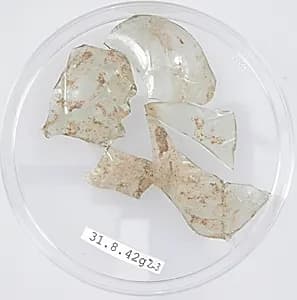 Glass Fragments by Unknown Artist