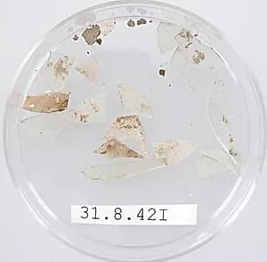 Glass Fragments by Unknown Artist